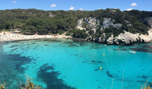 restaurante cranc pelut interior